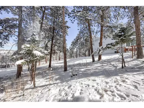 41 Yew Ln, Bailey, CO 80421 photo 36