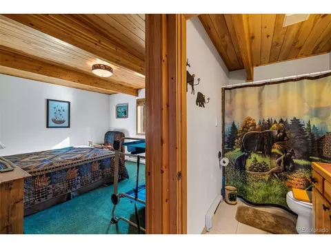 913 Longbow Dr, Como, CO 80432 photo 14