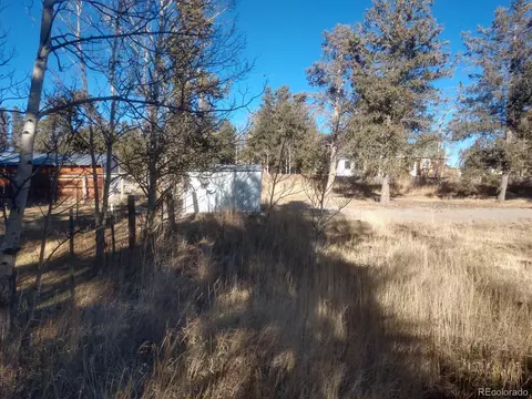 594 4th St, Fairplay, CO 80440