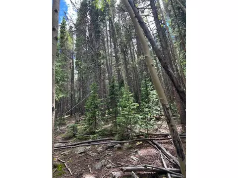 15 Long Rd, Idaho Springs, CO 80452