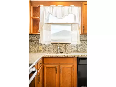 5167 Eliot St, Denver, CO 80221 photo 14