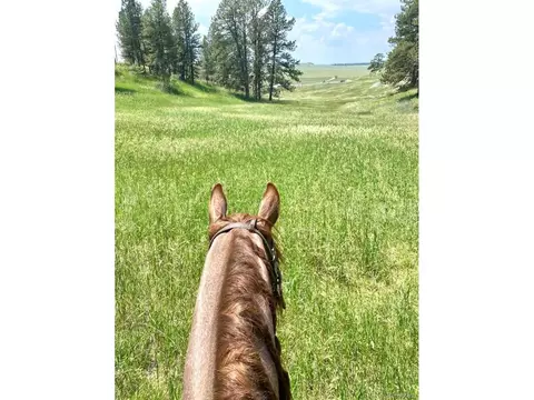 13881 S Delbert Rd, Elbert, CO 80106 photo 34