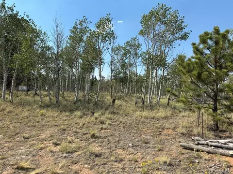 250 Pinto Trl, Como, CO 80432 photo 7