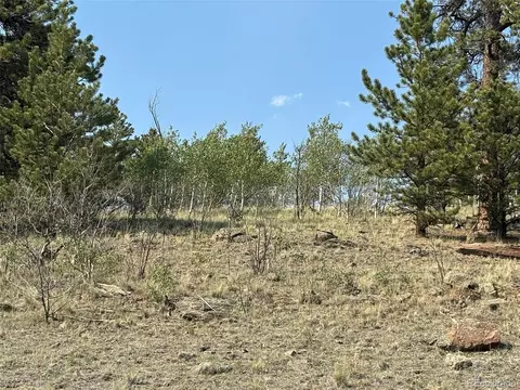 250 Pinto Trl, Como, CO 80432 photo 15