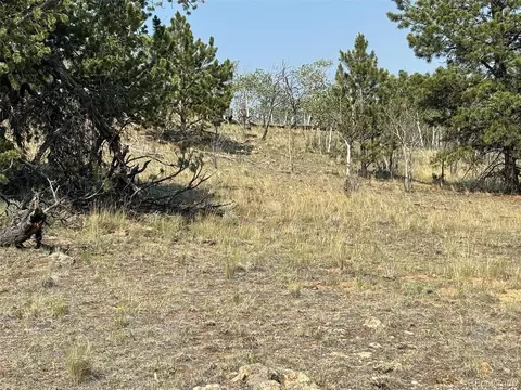 250 Pinto Trl, Como, CO 80432 photo 13