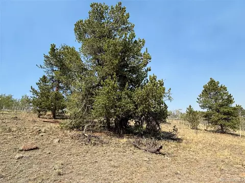 250 Pinto Trl, Como, CO 80432 photo 25