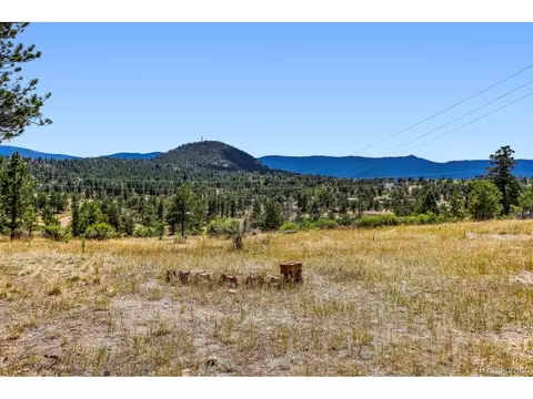 1006 County Road 72, Bailey, CO 80421 photo 33