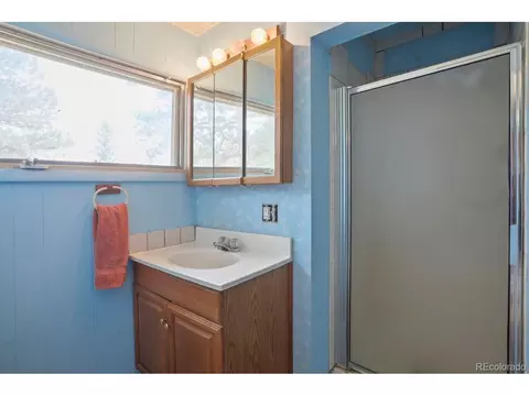 1006 County Road 72, Bailey, CO 80421 photo 20
