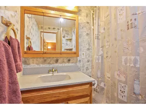 1006 County Road 72, Bailey, CO 80421 photo 16