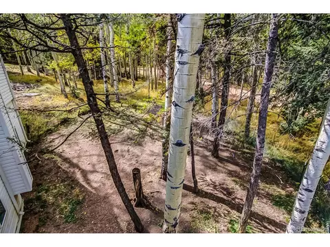 Undisclosed, Divide, CO 80814 photo 30