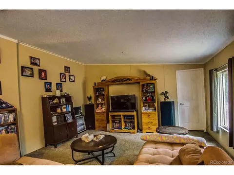 Undisclosed, Divide, CO 80814 photo 4
