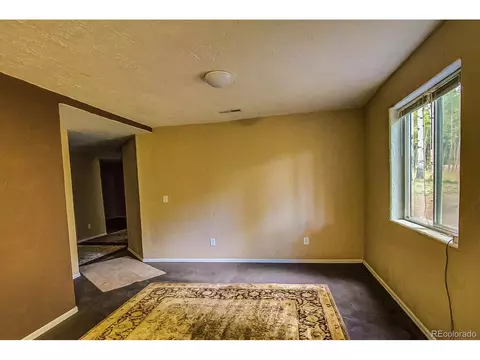 Undisclosed, Divide, CO 80814 photo 19