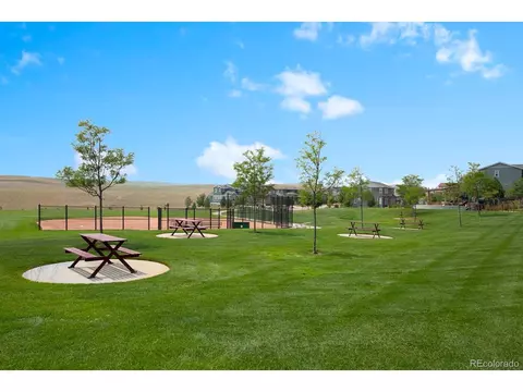 17543 W 93rd Pl, Arvada, CO 80007 photo 9