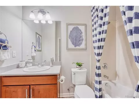 22946 E Bailey Cir, Aurora, CO 80016 photo 17