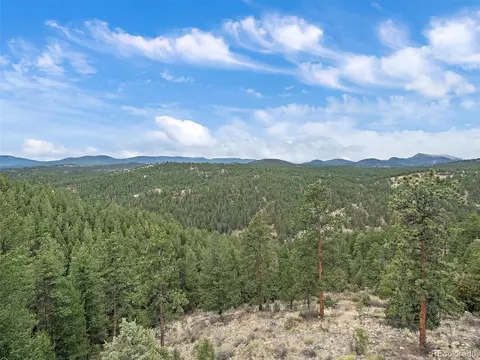 Other - 35005 Whispering Pines Trl, Pine, CO 80470 photo 6 of 13