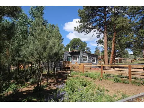 25 Harris St, Bailey, CO 80421 photo 27