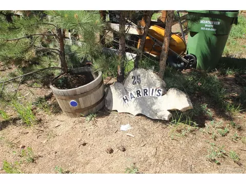 25 Harris St, Bailey, CO 80421 photo 2