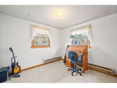 Bedroom - 255 Saddlestring Rd, Bailey, CO 80421 photo 3 of 6