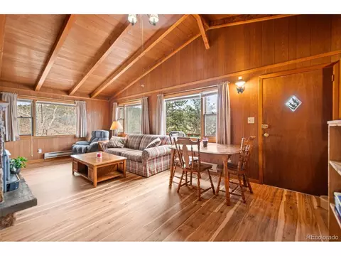 Living - 255 Saddlestring Rd, Bailey, CO 80421 photo 2 of 4