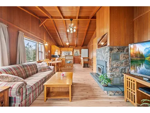 Living - 255 Saddlestring Rd, Bailey, CO 80421 photo 4 of 4