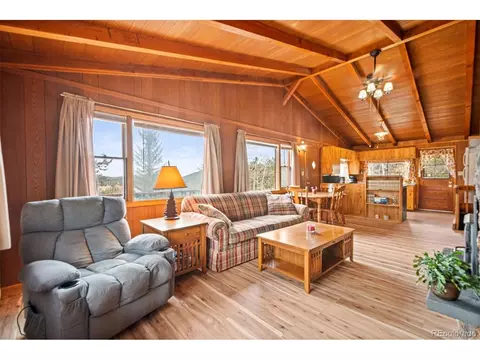 Living - 255 Saddlestring Rd, Bailey, CO 80421 photo 3 of 4