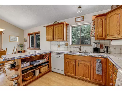10805 Beas Dr, Conifer, CO 80433 photo 23