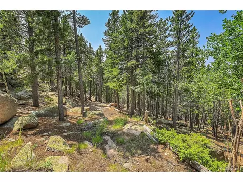 10805 Beas Dr, Conifer, CO 80433 photo 48