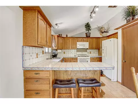10805 Beas Dr, Conifer, CO 80433 photo 20