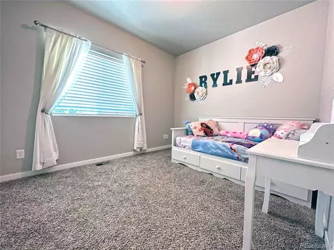 871 Sunlight Peak Dr, Severance, CO 80550 photo 13