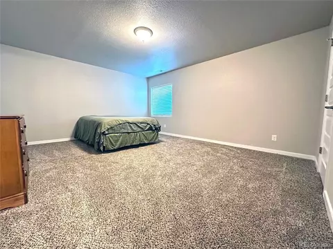 871 Sunlight Peak Dr, Severance, CO 80550 photo 22
