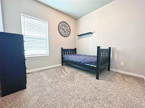 871 Sunlight Peak Dr, Severance, CO 80550 photo 12
