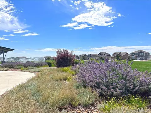 871 Sunlight Peak Dr, Severance, CO 80550 photo 24
