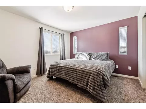 19059 E 54th Pl, Denver, CO 80249 photo 16