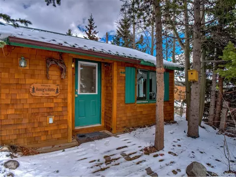 Other - 46 Singleton Rd, Alma, CO 80420 photo 10 of 10
