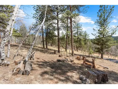 34355 Rock Creek Rd, Pine, CO 80470 photo 31
