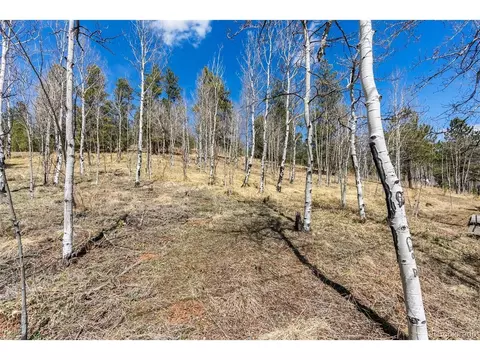 34355 Rock Creek Rd, Pine, CO 80470 photo 32