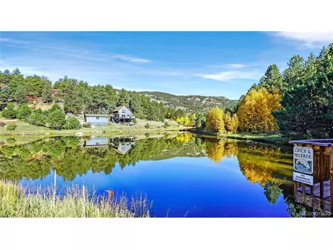 View/Area - 279 Wisp Creek Dr, Bailey, CO 80421 photo 3 of 4