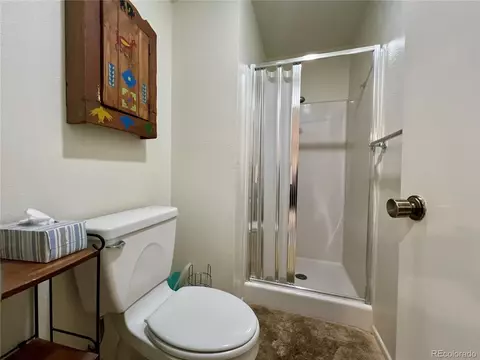 244 Lodgepole St #15, Dillon, CO 80435 photo 5
