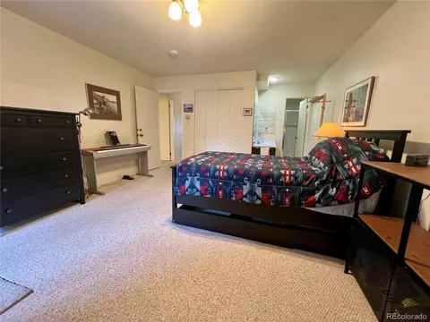 244 Lodgepole St #15, Dillon, CO 80435 photo 7