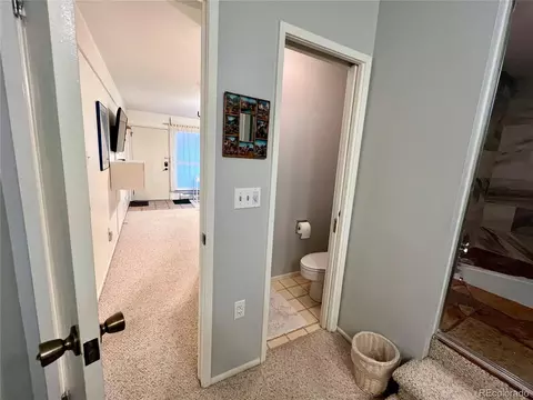 244 Lodgepole St #15, Dillon, CO 80435 photo 12
