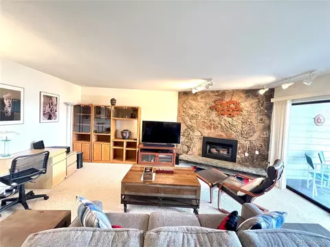 244 Lodgepole St #15, Dillon, CO 80435 photo 16