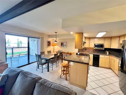 244 Lodgepole St #15, Dillon, CO 80435 photo 17