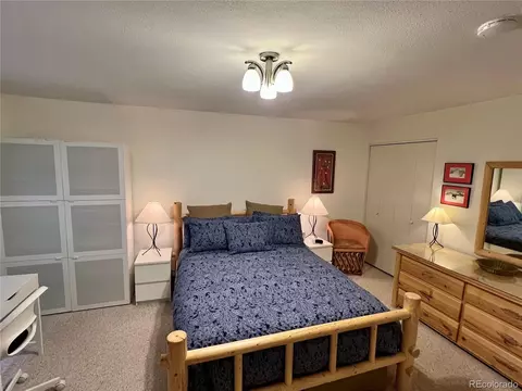 244 Lodgepole St #15, Dillon, CO 80435 photo 9