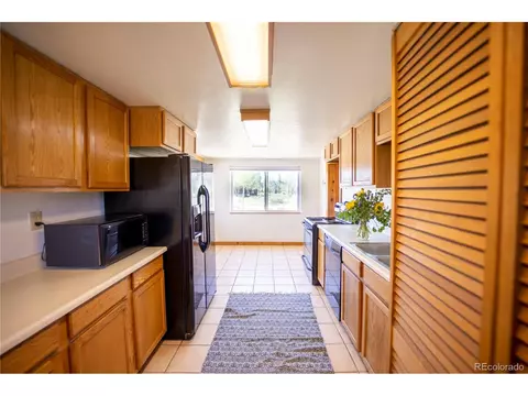 53 Brook Ave, Silverthorne, CO 80498 photo 9