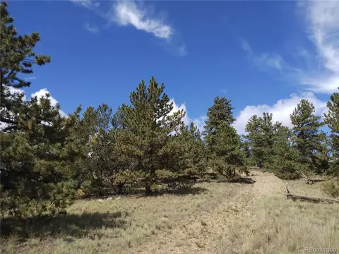 115 Pin Fire Ln, Como, CO 80432 photo 1
