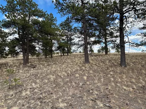 565 Brahma Cir, Hartsel, CO 80449