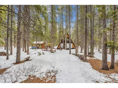 293 Severance Lodge Rd, Black Hawk, CO 80422