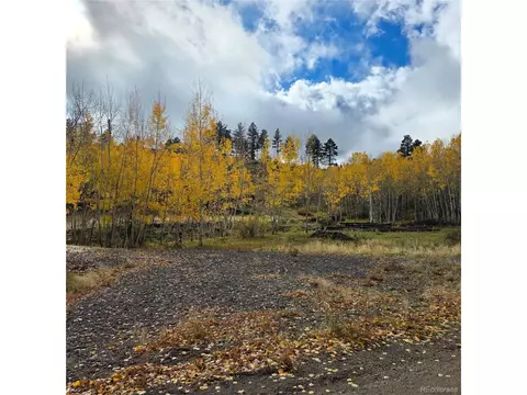 302 Rickel Cir, South Fork, CO 81154