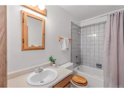 Bath - 10000 Ryan Gulch Rd #G106, Silverthorne, CO 80498 photo 1 of 2