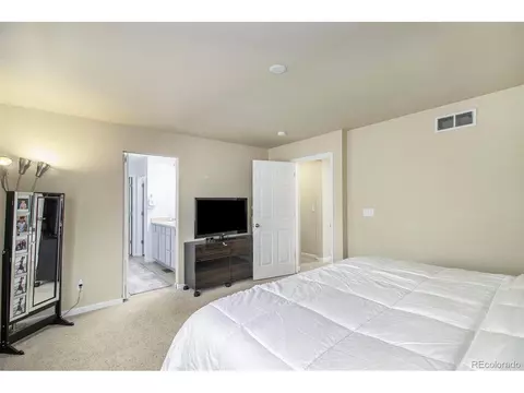 3523 E 141st Pl, Thornton, CO 80602 photo 11